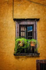 Fototapeta na wymiar Window in San Miguel