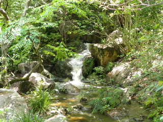 waterfall in the forest