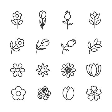 Vector set of flowers line icons.