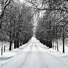 Road in winter. Snowy mountain path for a car. Concept for traveling and safe driving in winter by car.