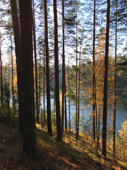 Autumn on the Lake Saimaa