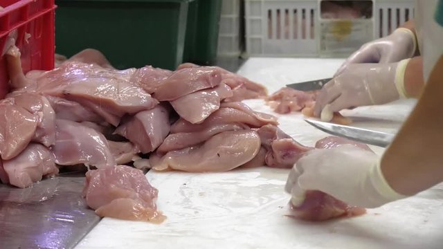 close up of poultry processing in food industry. Meat food handling safety gloves and suit with mask over pile in food processing industry. Man's hand cutting raw chicken breast.