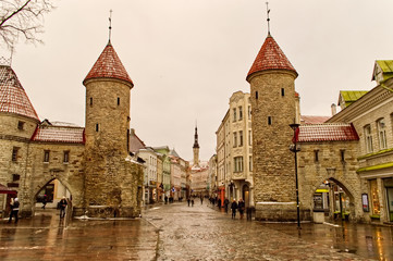 Naklejka premium Gate to Tallinn