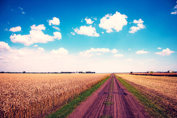 Fototapeta na wymiar Beautiful charming landscape with a road in a field that stretches to the horizon against the background of a cloudy sky, and combines harvesting.