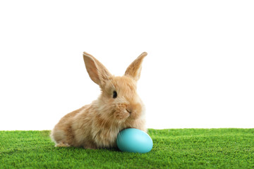 Adorable furry Easter bunny and dyed egg on green grass against white background, space for text