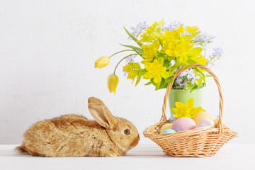 bunny with easter eggs and flowers on white background