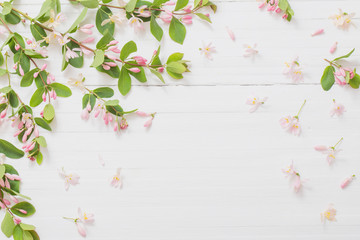 branches of  bush with pink flowers on wooden background