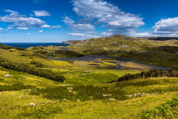 Fototapeta na wymiar typical landscape in the scottish highlands, UK