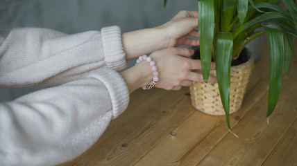 the girl on her arm has a bracelet made of pink stones (quartz), a bracelet made of quartz, hands, indoor flowers (horizontally)