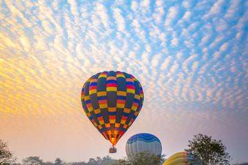 hot air balloons flying over Flower field with sunrise at Chiang Rai Province, Thailand