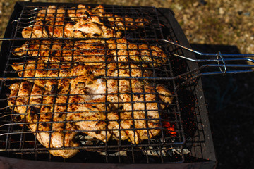 grilled pieces of chicken meat outdoors