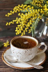 Spring Tea Party against the backdrop of a mimosa flower