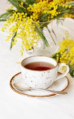Spring Tea Party against the backdrop of a mimosa flower