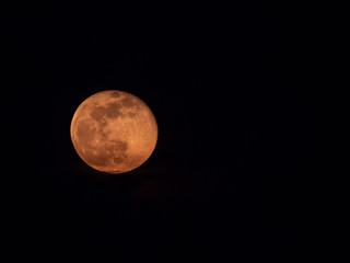 Full moon over closeup. Full moon on dark sky.