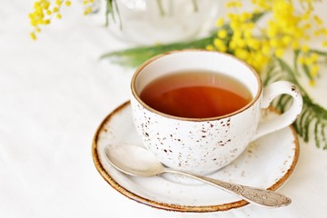 Spring Tea Party against the backdrop of a mimosa flower