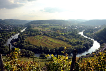 Saarschleife zwischen Wiltingen, Kommlingen und Kahzern