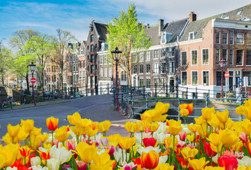 Houses of Amstardam, Netherlands