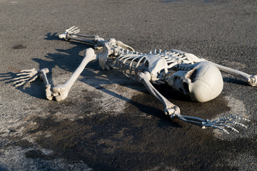 Fake human skeleton lying on paved road.