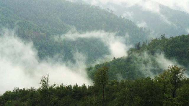Fog in mountain - (4K)