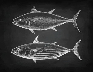 Chalk sketch of tuna.