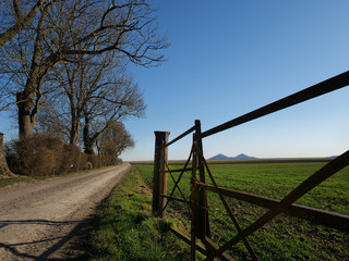 Terrils et chemin de campagne près de Lens
