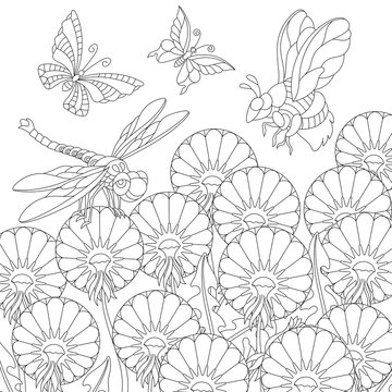 zentangle coloring page insects and dandelion flowers