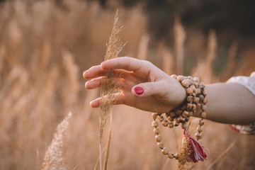 Woman hand running through wheat field. Girl's hand touching yellow wheat ears closeup. Harvest concept. Harvesting