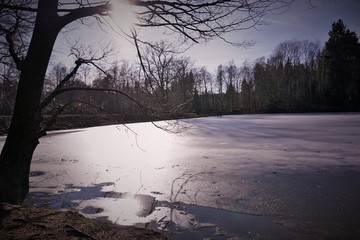 See Harz