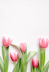 The composition of flowers. Frame made of pink tulips flowers on a white background. Flat lay, top view, copy space