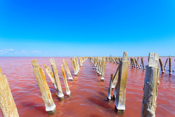 The salty lake with pink water and the beach from salt. Old logs pier on Lake Sasyk in the Crimea.