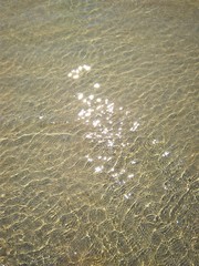 Beautiful clean and clear sea water with wave