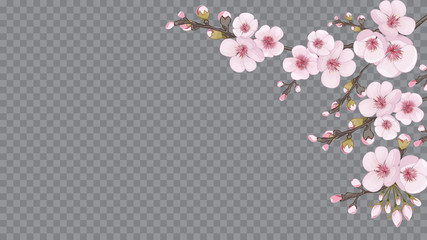 The idea of textile design, wallpaper, packaging, printing. Pink on transparent background. Handmade background in the Japanese style. Light frame horizontal of sakura flowers.