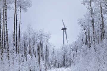 Wind Turbine