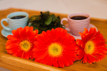 Two cup of coffee with orange gerbers on wooden tray. Close-up.