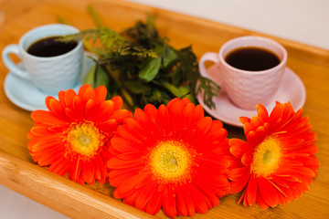 Two cup of coffee with orange gerbers on wooden tray. Close-up.