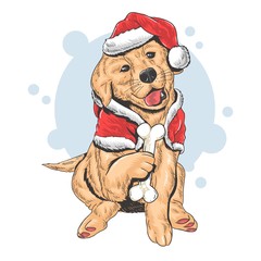 CHRISTMAS CUTE PUPPY SANTA CLAUS EPS VECTOR