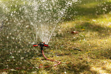 automatic lawn irrigation system, green grass and sun glare, the concept of summer