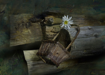 flower in a basket
