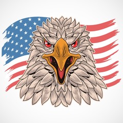 EAGLE USA FLAG