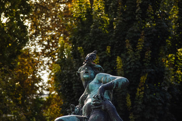 Pigeon over statue covered with poop ilustrating the animal diseases that the bird can cause