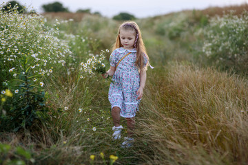 Beautiful Caucasian blond hair girl walking and holding daisy flowers in the field  