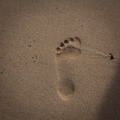 Îles Canaries - Fuerteventura