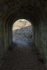 Fototapeta na wymiar Stary most kolejowyzamieniający się w tunel 