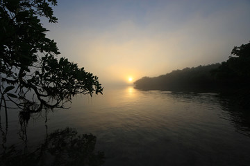 Fototapeta na wymiar Foggy sunrise amidst the mangrove trees of Bear Cut off Key Biscayne, Florida.