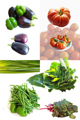 vegetarian, diet, balanced, vegetable, tomato, fresh, organic, beetroot, food, vegan, green, harvest, raw, fruit, cucumber, assorted, plant, healthy, pepper, broccoli, vitamin, grocery, fennel, carrot