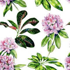 Tropical rhododendron flower seamless pattern watercolor. Interior wallpaper with pink azalea flowers. Exotic plants illustration.