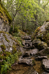 Fototapeta premium Wanderweg in Norwegen