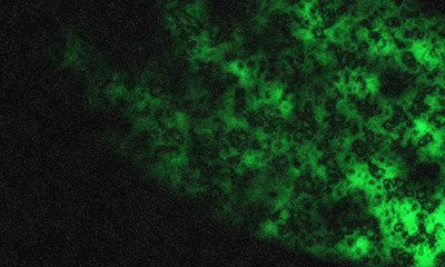 cloudy foggy galaxy in the universe