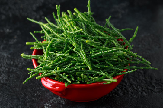 Fresh samphire in a red bowl on black background