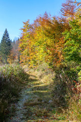 View from the Teufelsstein Steinbach-Ore Mountains, hiking area around the towns Johanngeorgenstadt / Eibenstock with rock landscape, streams, forest and green fields in front of blue sky